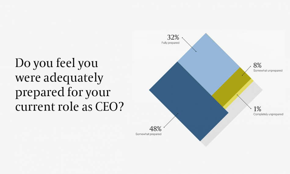 CEO Insights — Volume 2: It Takes a Village: Supporting CEO Leadership