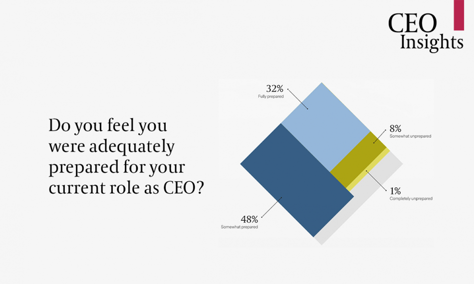 It Takes a Village: Supporting CEO Leadership