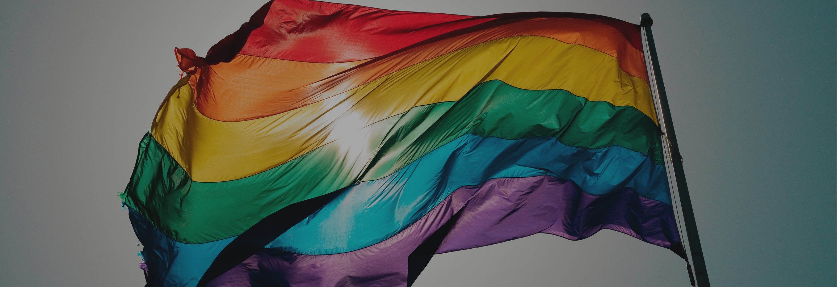 LGBTQ+ at Egon Zehnder: Our Commitment and Responsibility