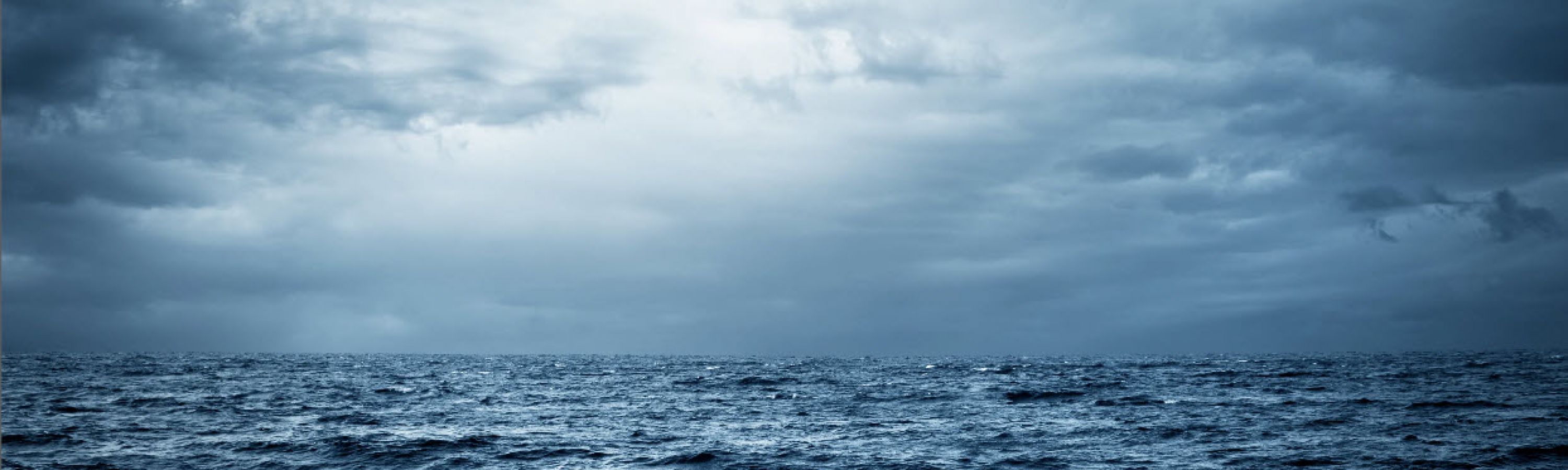 Navigating Rough Seas – How CEOs are Preparing for Turbulent Times Ahead