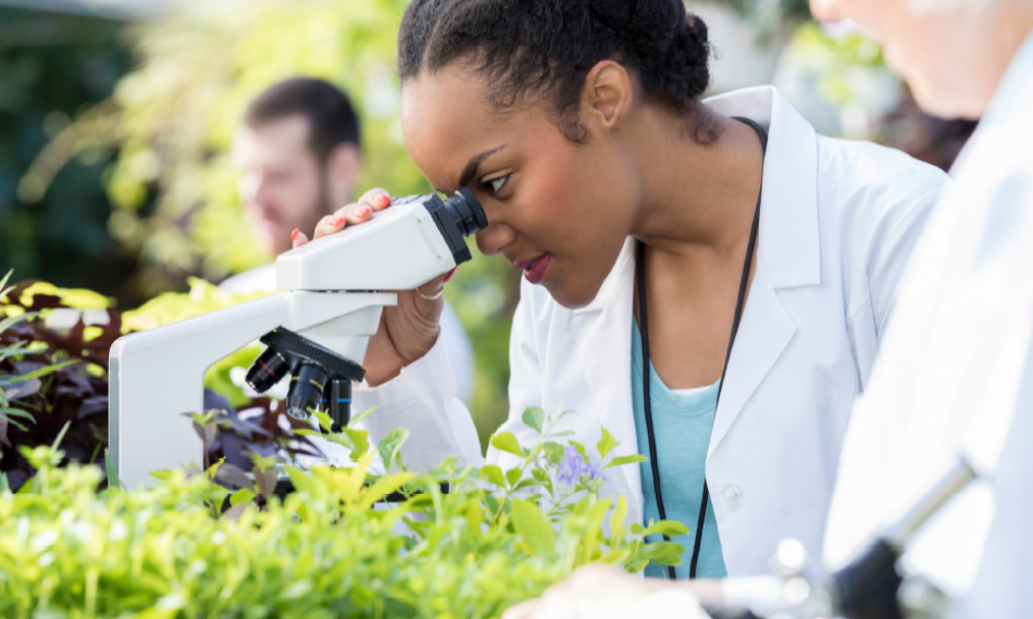 Confronting the Challenge of Attracting and Retaining African Scientists to the Continent