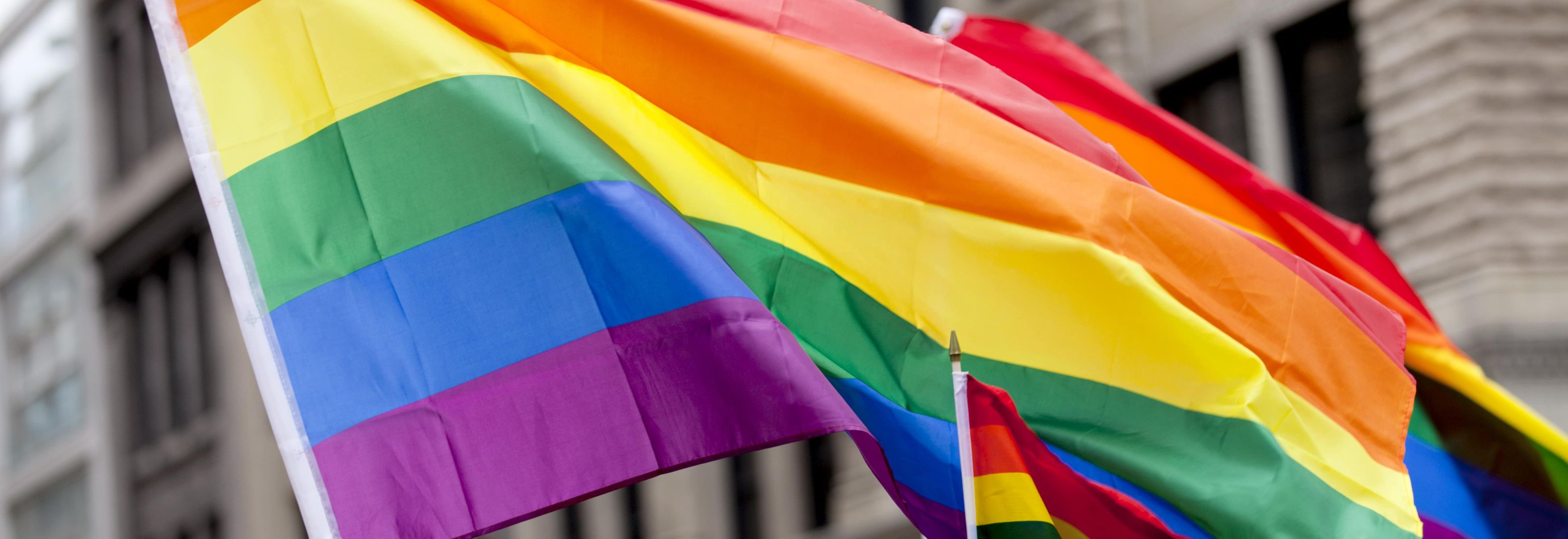 LGBTQ+ at Egon Zehnder: Our Commitment and Responsibility