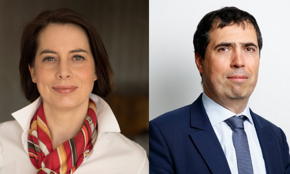 Connecting Purpose and Sustainability Across Sectors