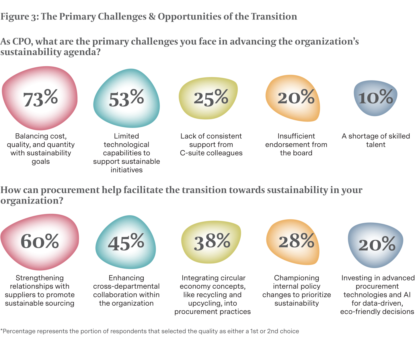 Figure 3: The Primary Challenges & Opportunities of the Transition