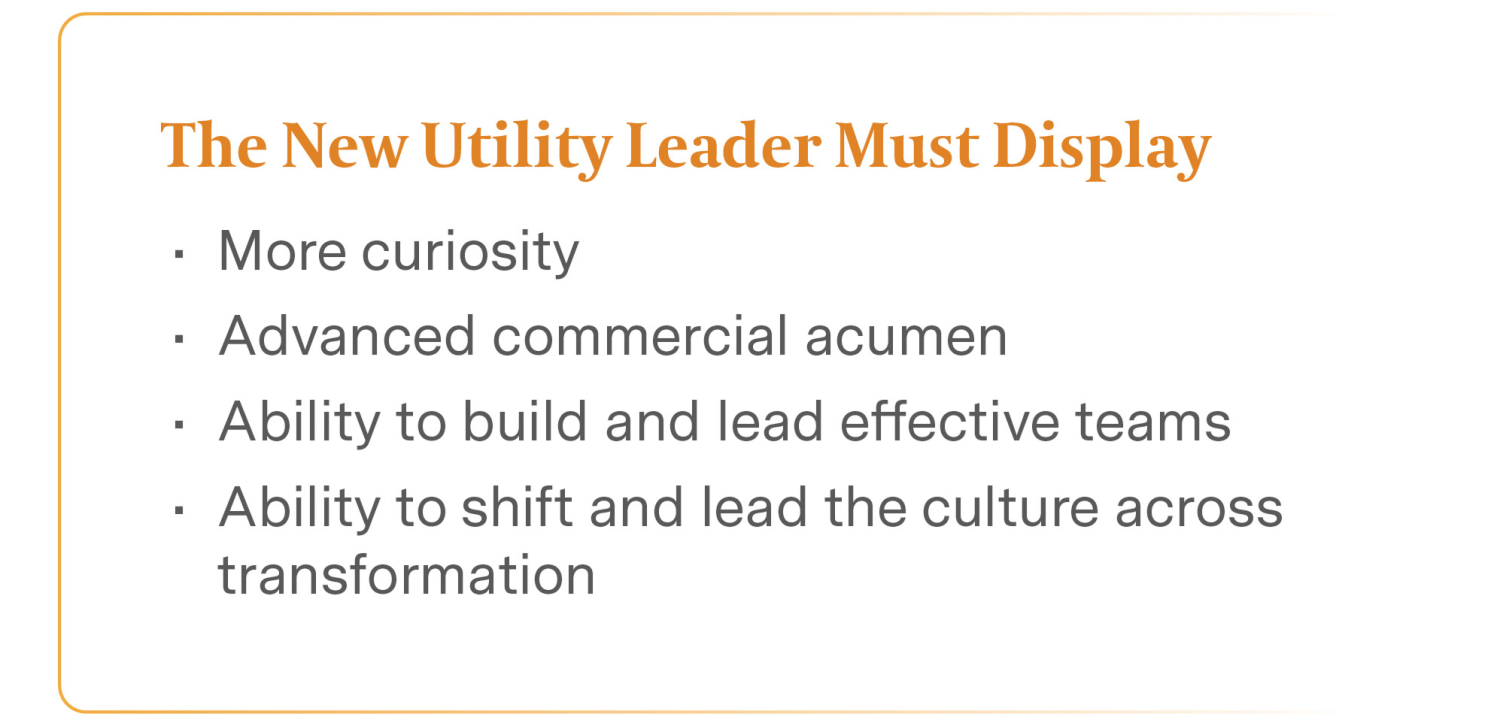 The new utility leader must display