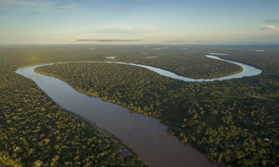 Creating a sustainable world through leadership — The Brazilian Perspective