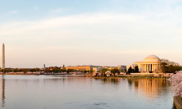 Washington, D.C. Office