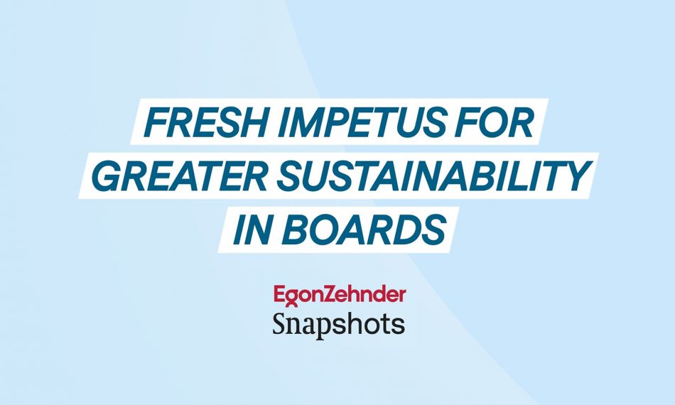 Egon Zehnder Snapshot on a sustainability study of European Boards