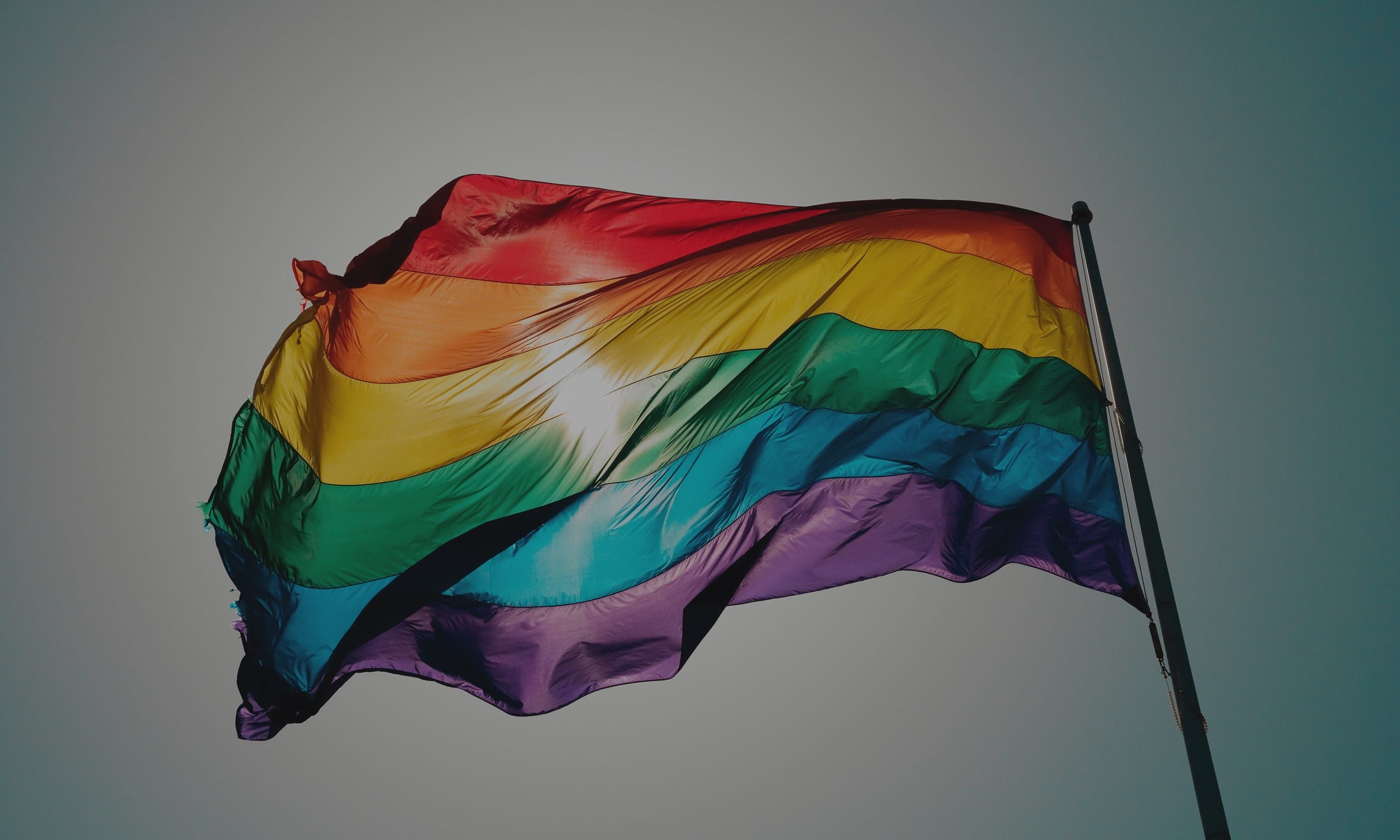 Proudly Resilient: The Value of Being Out in the Boardroom