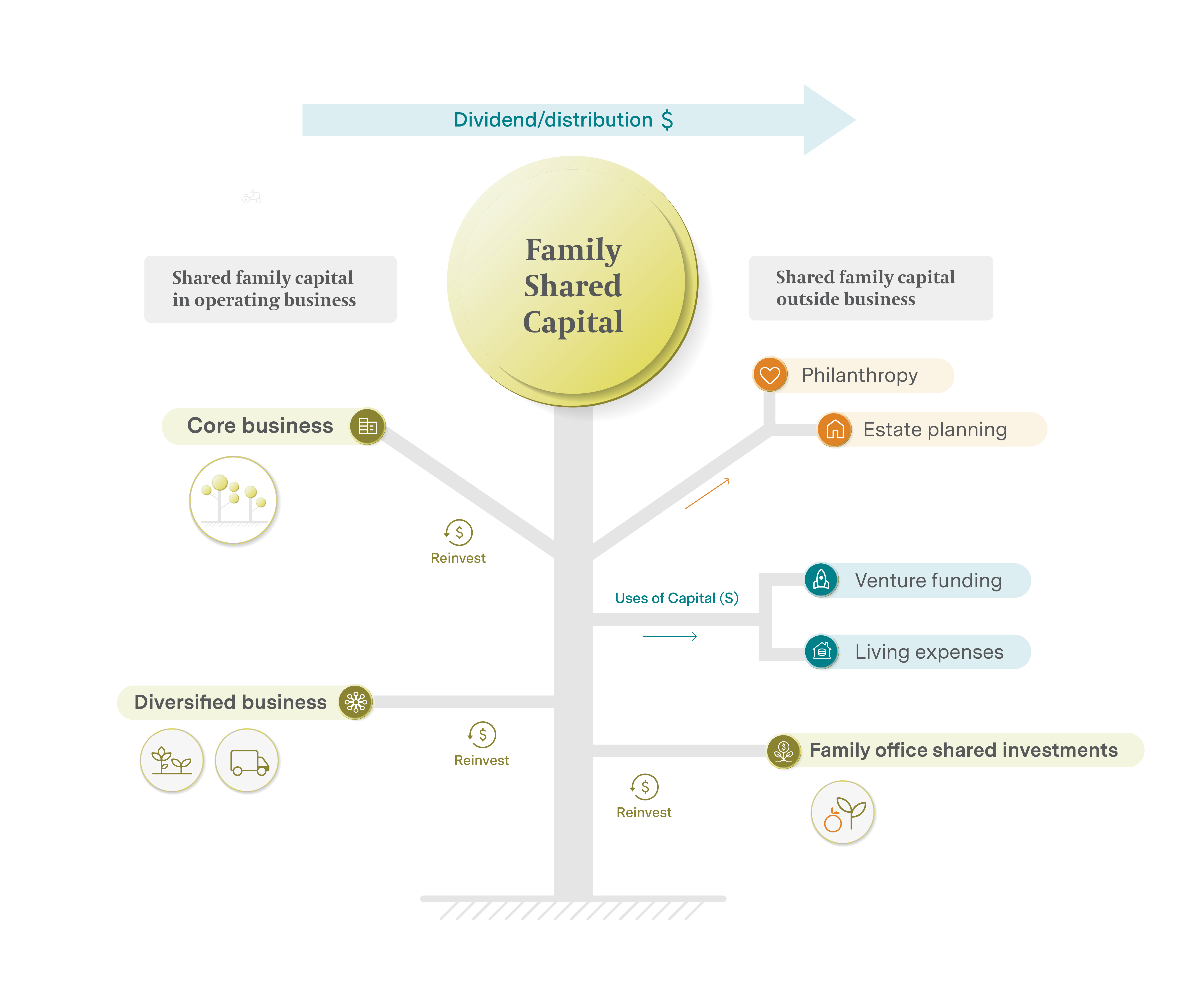 Family business financial management infographic