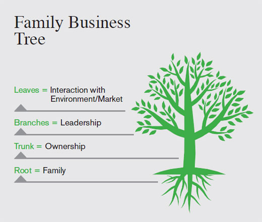 Family Business Tree Infographic